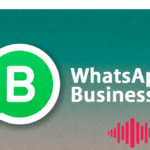 nadelen whatsApp business