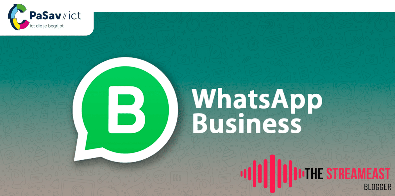 nadelen whatsApp business